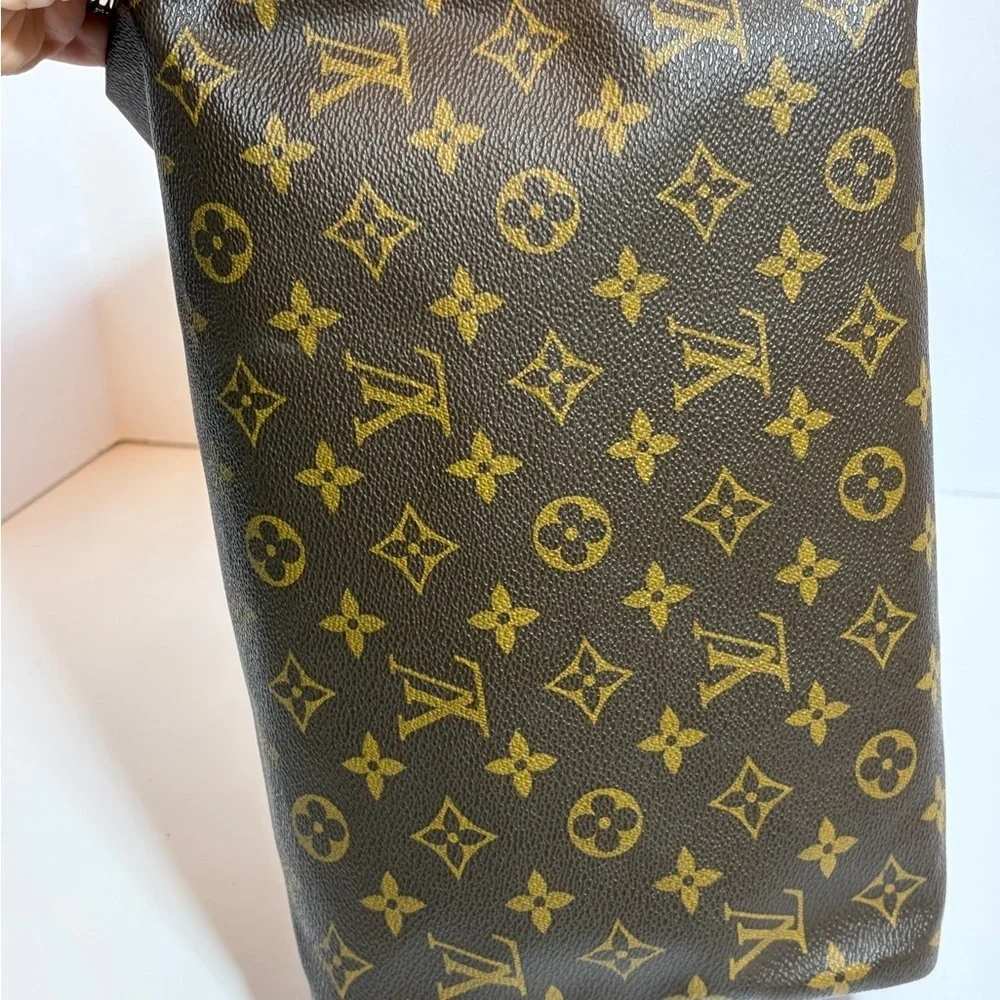 Louis Vuitton iconic speedy